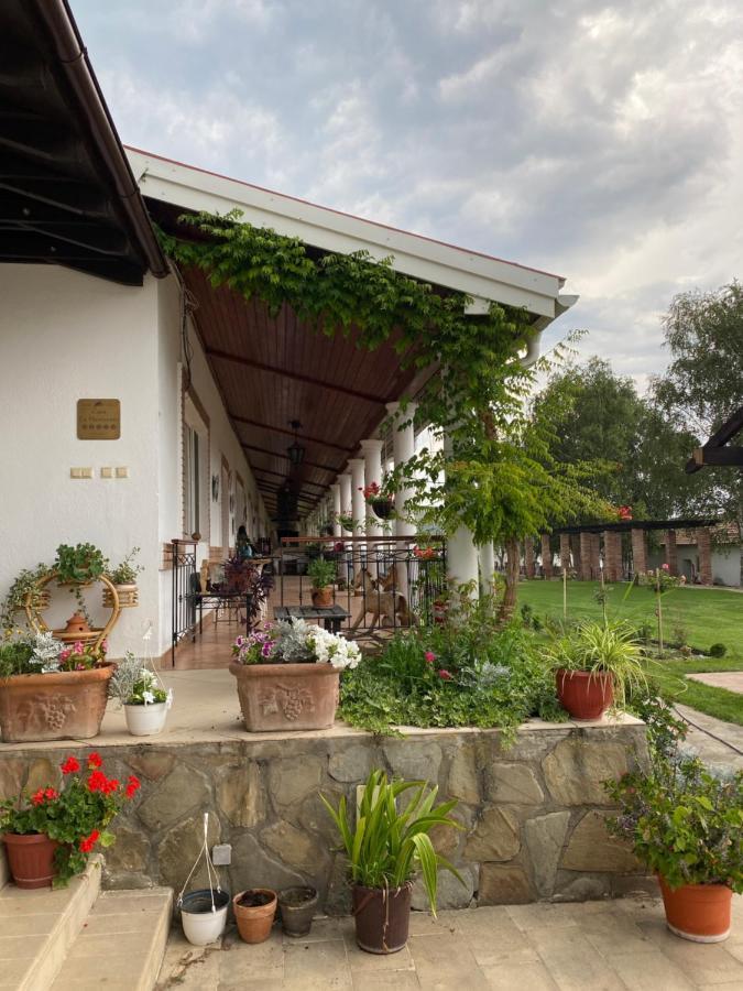 Hotel Country Club La Mesteceni Sebeş Zewnętrze zdjęcie